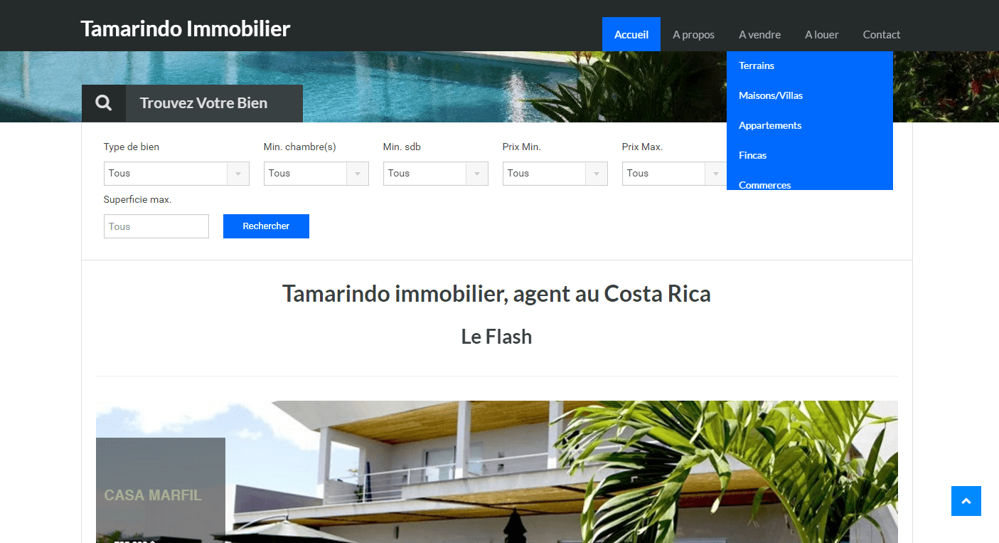 Tamarindo Immobilier
