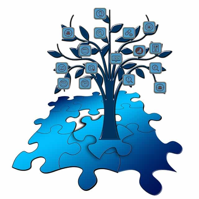 curation de contenu