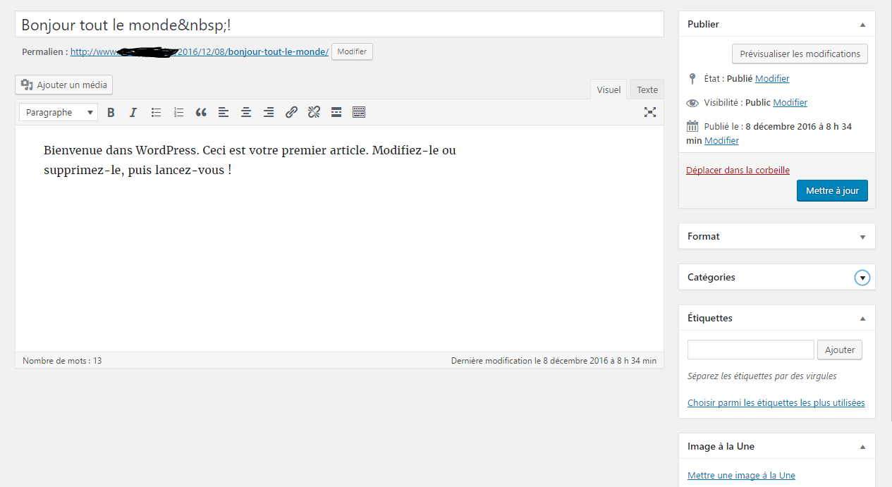 editeur WP- simplicité de gestion