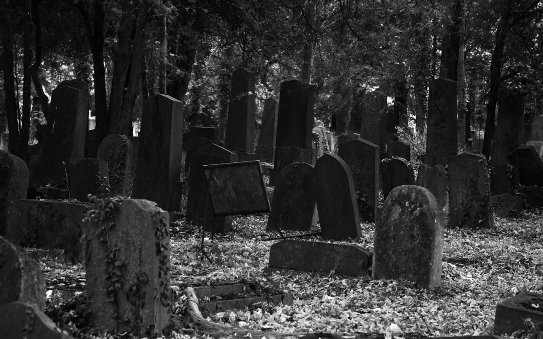 La Wallonie, un cimetière pour le freelance du Web ?