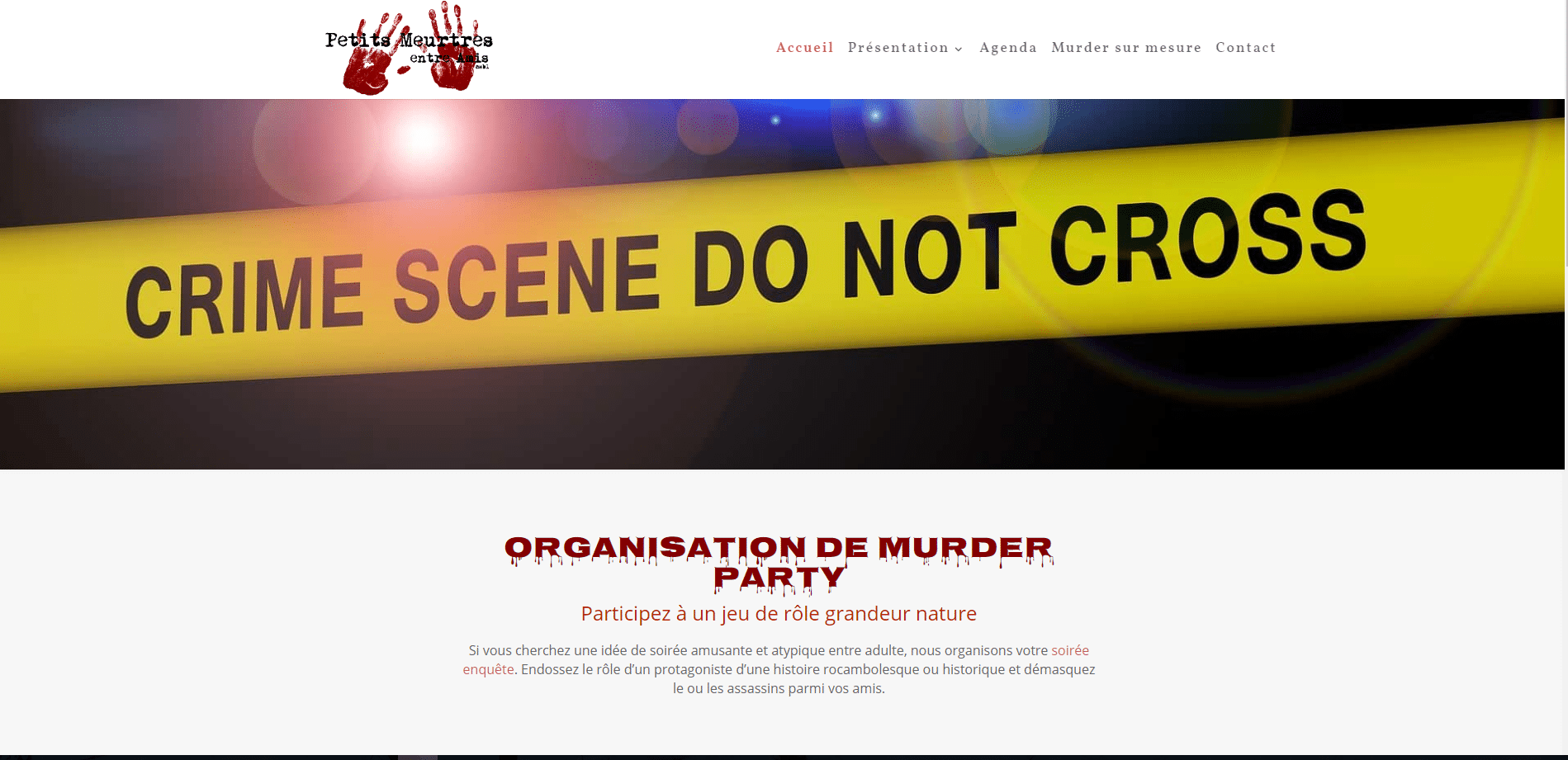 Capture-pmea Création du site PMeA ASBL