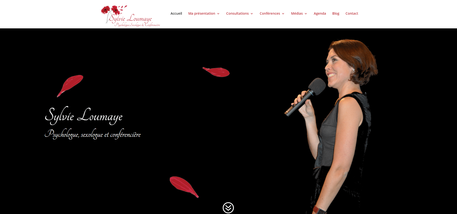 CaptureSL Projet du site de Sylvie Loumaye