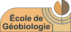 logo école de géobiologie