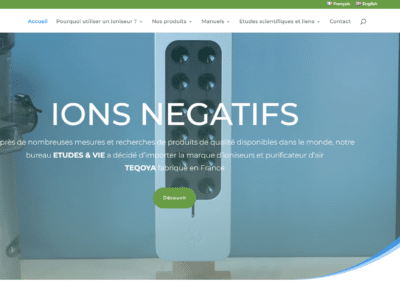 ions négatifs